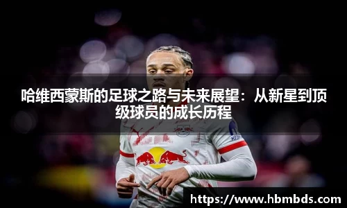 星空.综合体育官网