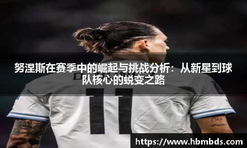 星空综合(中国)官方网站