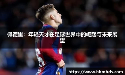 星空.综合体育官网