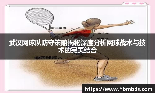 星空.综合体育官网