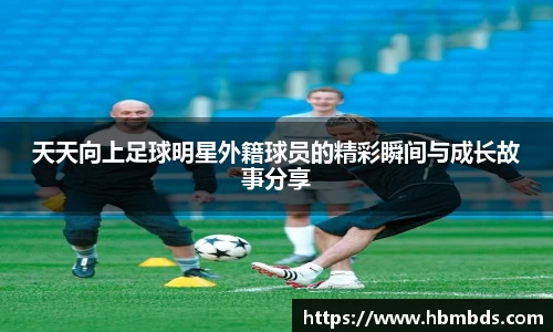 星空综合(中国)官方网站